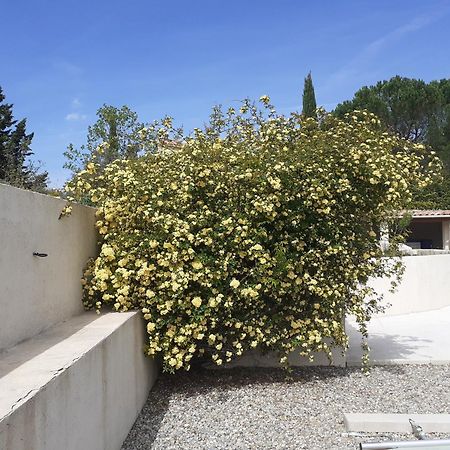 Chambres D'Hotes, B&B Climatisees La Borrellienne Saint-Maximin-la-Sainte-Baume Luaran gambar