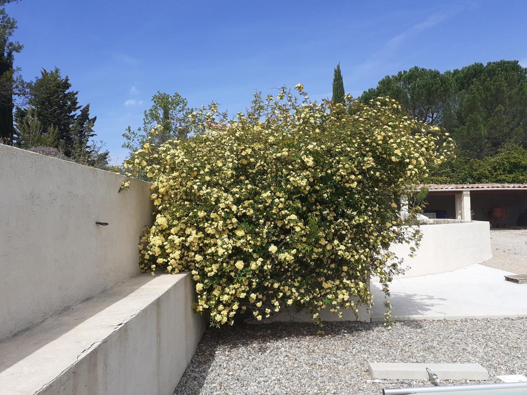 Chambres D'Hotes, B&B Climatisees La Borrellienne Saint-Maximin-la-Sainte-Baume Luaran gambar